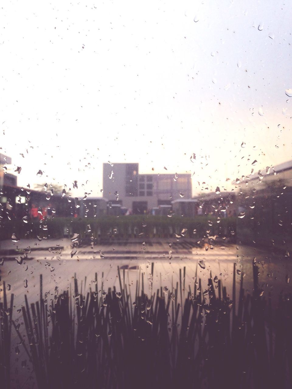 wet, drop, rain, water, weather, window, building exterior, sky, raindrop, transparent, season, monsoon, architecture, built structure, car, city, glass - material, dusk, rainy season, transportation