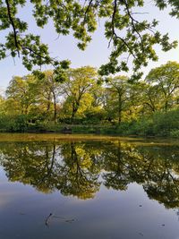 Scenic view of lake by trees against sky