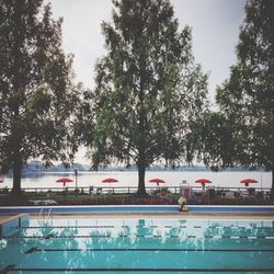 Swimming pool by trees against sky