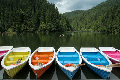 Boats moored in lake against trees