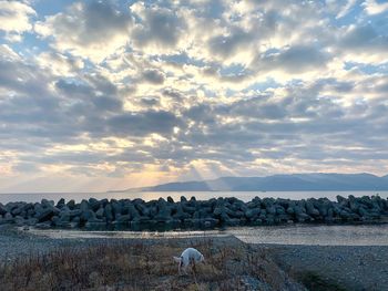Scenic view of sunset over land against sky