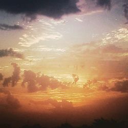 Silhouette trees against sky during sunset