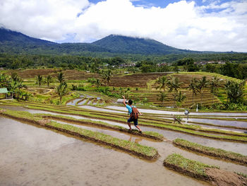 Rear view of man walking on agricultural field against sky