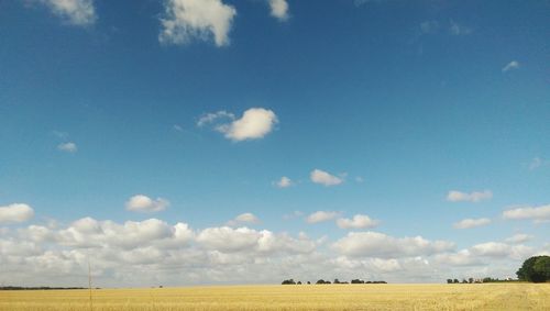 Scenic view of field against cloudy sky