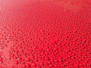 Full frame shot of wet red surface