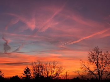 Low angle view of silhouette trees against dramatic sky