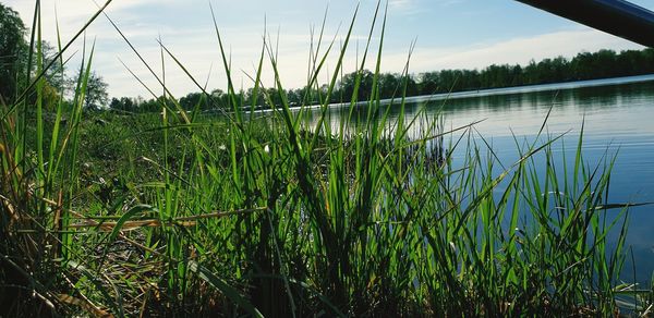 Scenic view of lake against sky