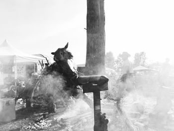 Horse on tree against sky