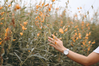 Midsection of woman touching flowers on field