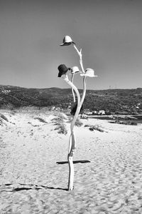 Seagull flying over sea against sky