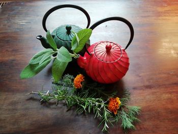High angle view of plant on table