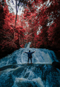 Rear view of man standing by waterfall in forest