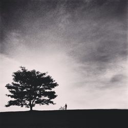 Silhouette of trees against cloudy sky