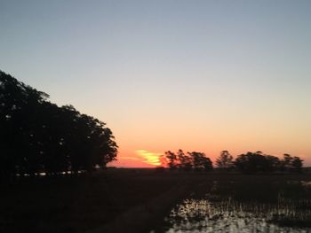 Silhouette trees against sky during sunset