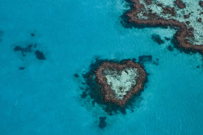 High angle view of heart shape underwater