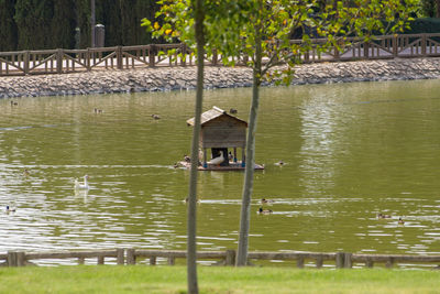 View of a lake