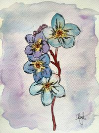 wall - building feature