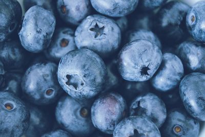 Full frame shot of blueberries in water