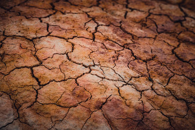 Full frame shot of cracked land