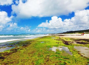 Scenic view of beach against sky