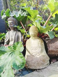 Buddha statue by plants