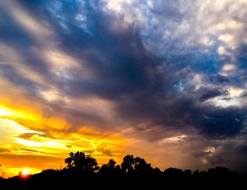 Silhouette of trees at sunset