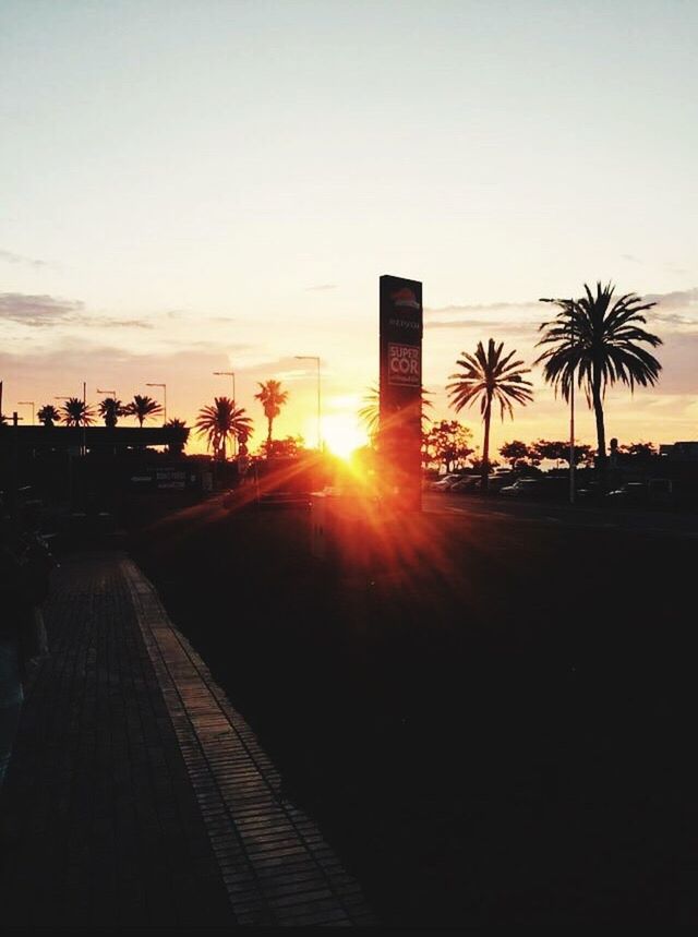 sunset, sunlight, sun, city, built structure, tree, sky, building exterior, sunbeam, architecture, outdoors, nature, skyscraper, no people, cityscape, beauty in nature, day