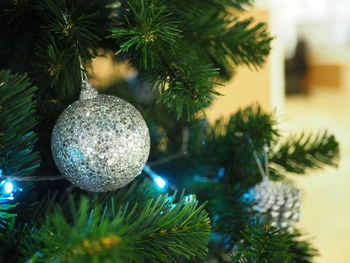 Close-up of christmas tree