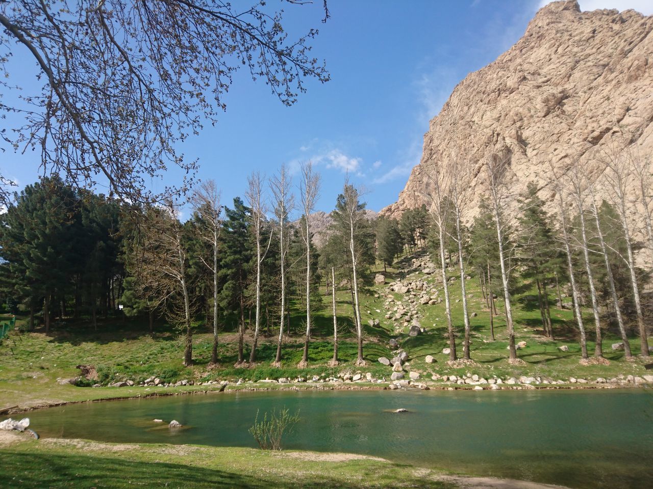 water, tree, tranquility, tranquil scene, scenics, beauty in nature, nature, sky, mountain, lake, blue, idyllic, day, bird, waterfront, non-urban scene, outdoors, growth, river, branch