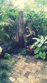 Statue and plants against trees