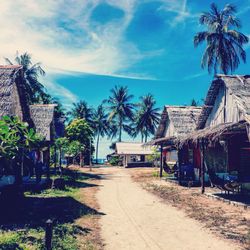 Palm trees and buildings against sky