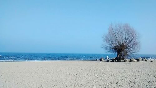 Scenic view of beach against clear sky
