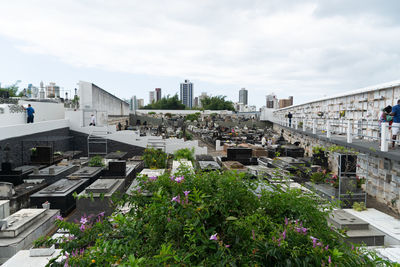 View of tombs in the campo santo cemetery in the city of salvador, bahia.