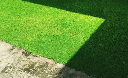 High angle view of grass on field