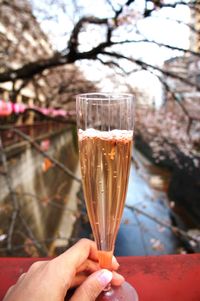 Cropped hand of woman holding champagne flute against bare tree