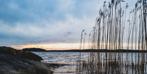 Scenic view of sea against sky during sunset