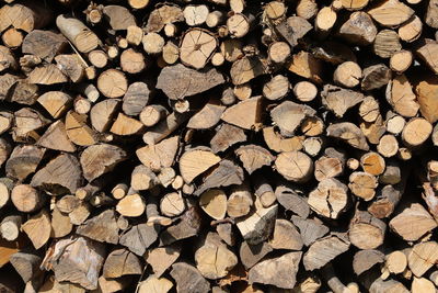 Background of many wooden logs in the woodshed