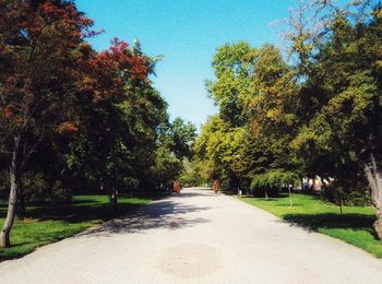 Road amidst trees against clear sky