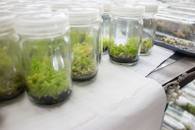 Close-up of drink in glass jar on table