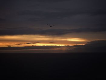 Silhouette bird flying against sky during sunset