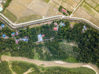 High angle view of trees growing on field