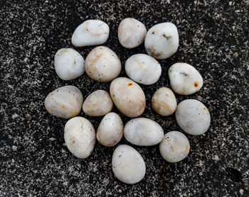 High angle view of eggs in container