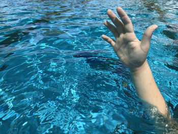 Low section of person swimming in pool