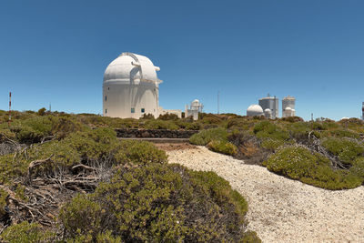 Plants growing on building against clear blue sky