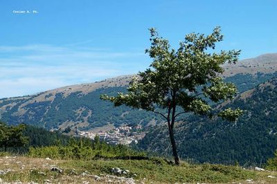 mountain