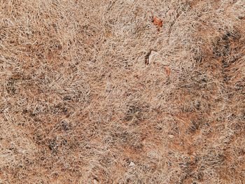 Full frame shot of sand