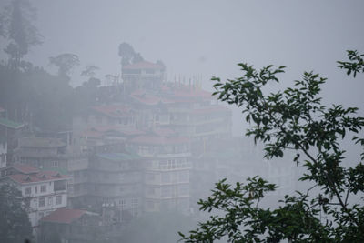 Darjeeling in the fog
