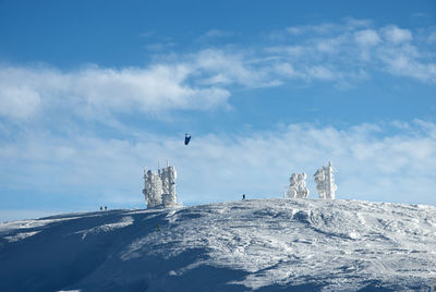 Seagull flying over snow covered shore against sky