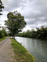 Scenic view of river amidst trees against sky