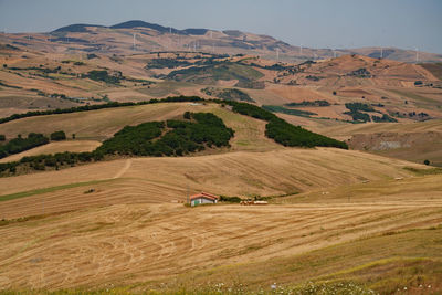 Scenic view of agricultural field